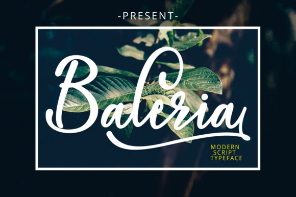 Baleria Script Font Poster 1