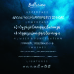 Ballerina Font Poster 10