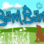 BamBam Font Poster 1