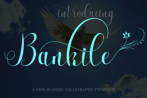 Bankile Font Poster 1