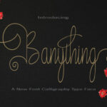 Banything Font Poster 1
