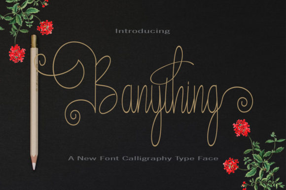 Banything Font Poster 1