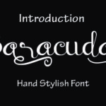 Baraccuda Font Poster 1