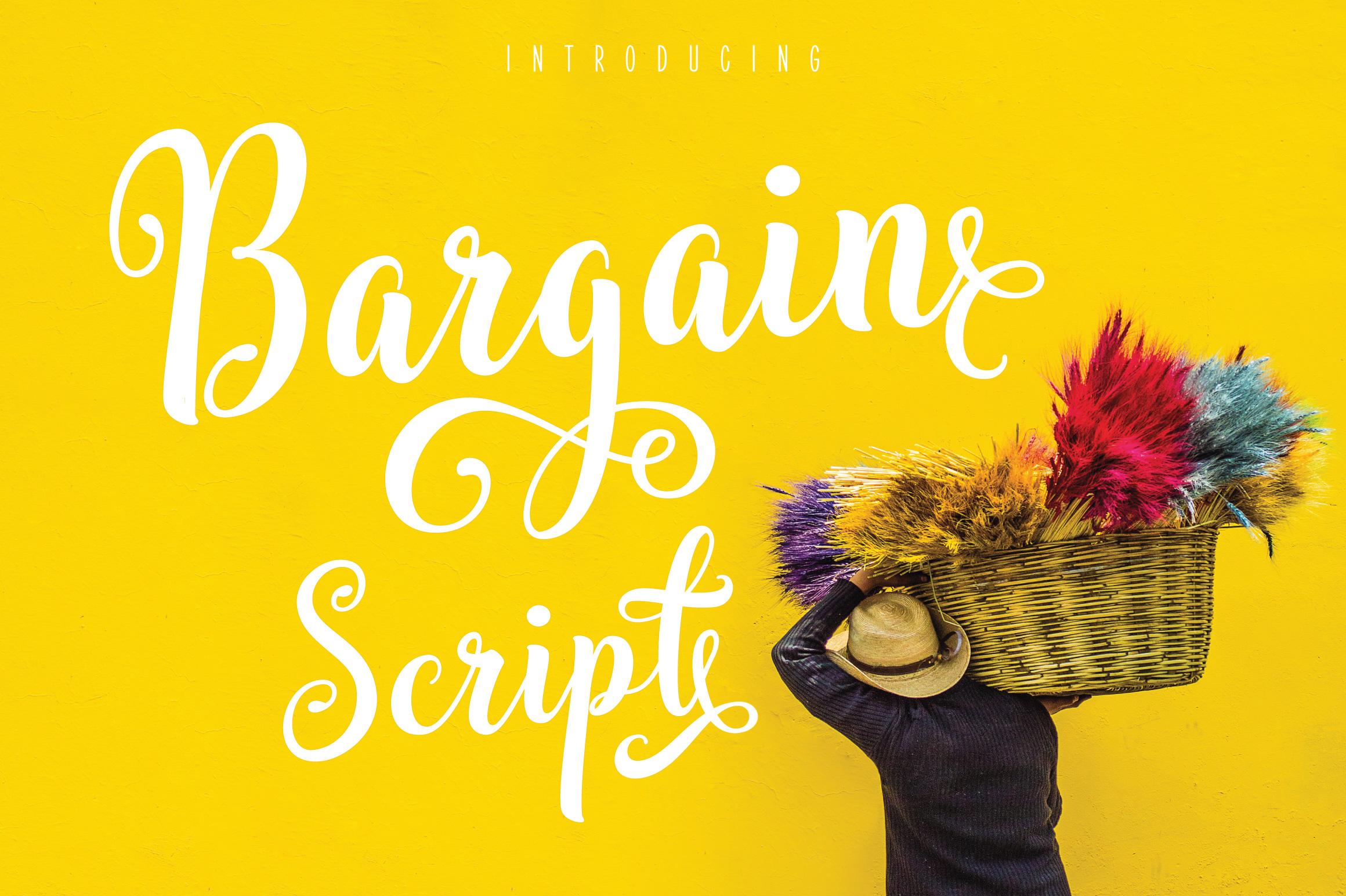 Bargain Script Font Poster 1