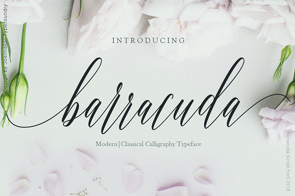 Barracuda Script Font Poster 1