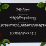 Batter Dinner Script Font Poster 9