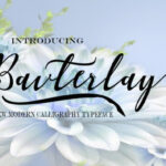 Bavterlay Font Poster 1