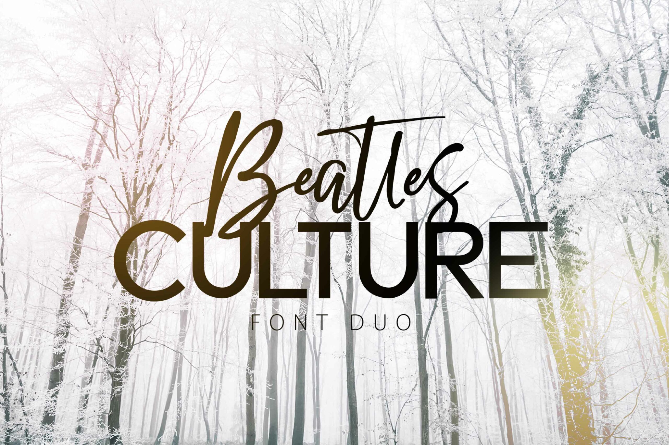 Beatles Culture Font