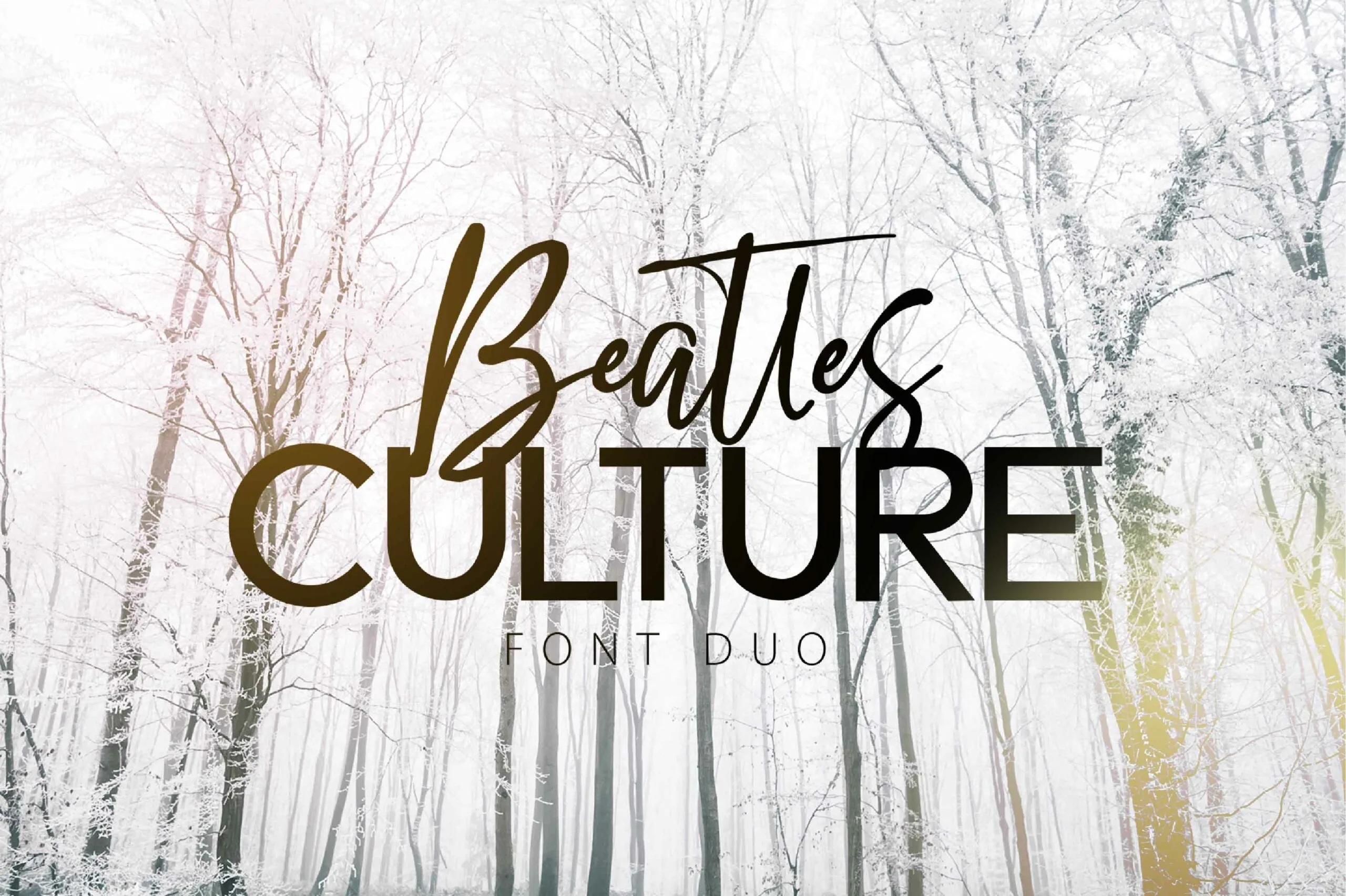 Beatles Culture Font Beatles Culture Font Poster 1
