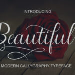 Beautiful Script Font Poster 1