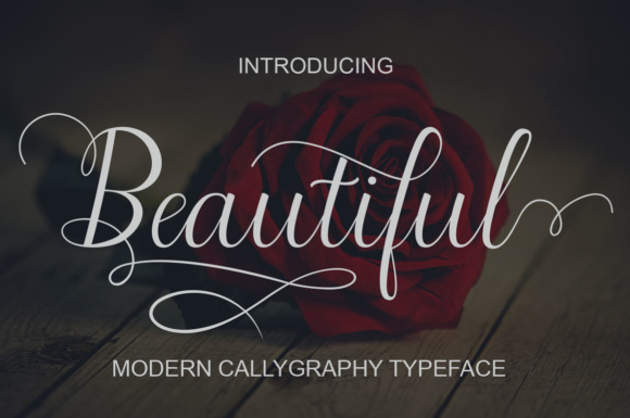 Beautiful Script Font