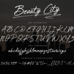 Beauty City Font Poster 6