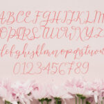 Beauty Flowers Font Poster 6