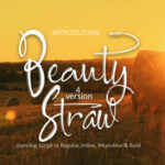 Beauty Straw Font Poster 1
