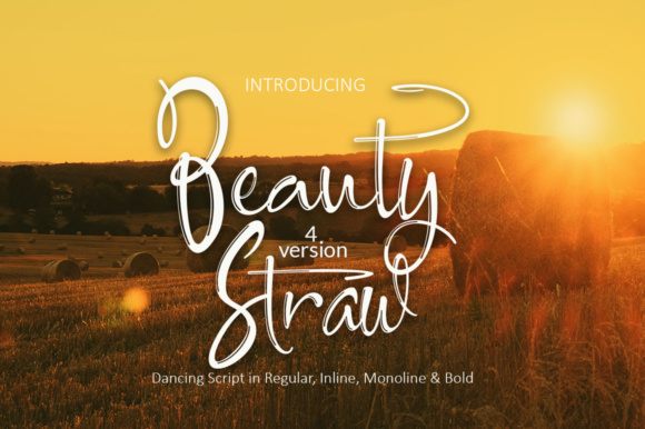 Beauty Straw Font Poster 1