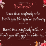 Beautyface Script Font Poster 4