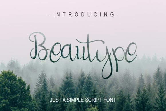 Beautype Font Poster 1