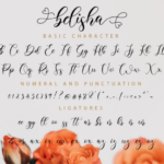 Belisha Font Poster 11