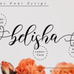 Belisha Font Poster 10