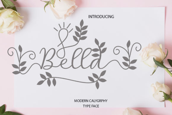 Bella Script Font - Font Canyon