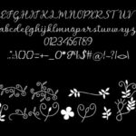 Bella Script Font Poster 6