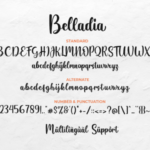 Belladia Font Poster 6