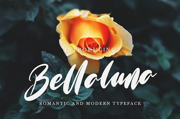 Bellaluna Font Poster 1