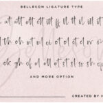 Belleson Script Font Poster 13