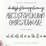 Bellevue Script Font Poster 6