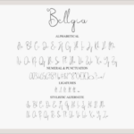 Bellgia Font Poster 4