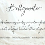 Bellgonate Script Font Poster 16