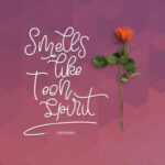 Bellinda Script Font Poster 2