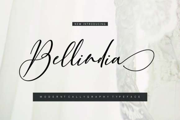 Bellindia Font Poster 1