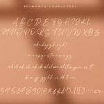 Belmonth Font Poster 12