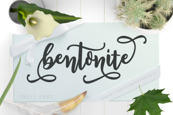 Bentonite Script Font Poster 1