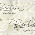 Bentosa Duo Font Poster 2