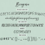 Bergenia Duo Font Poster 6