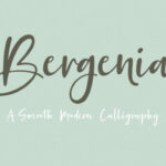 Bergenia Duo Font Poster 9
