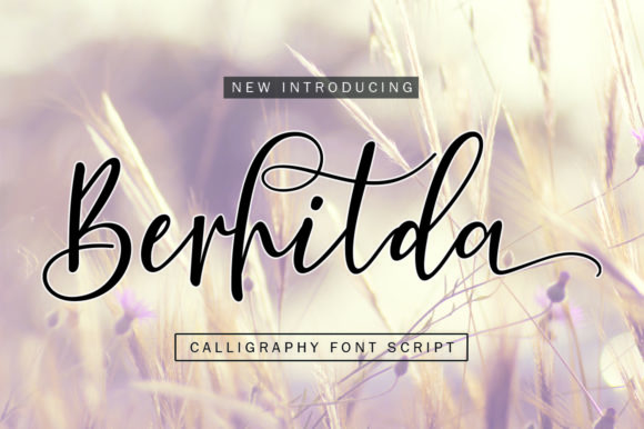 Berhilda Font Poster 1