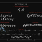 Berliana Script Font Poster 9