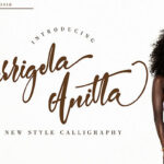 Berrigela Anitta Font Poster 1