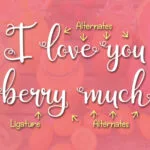 Berry Smoothies Font Poster 4