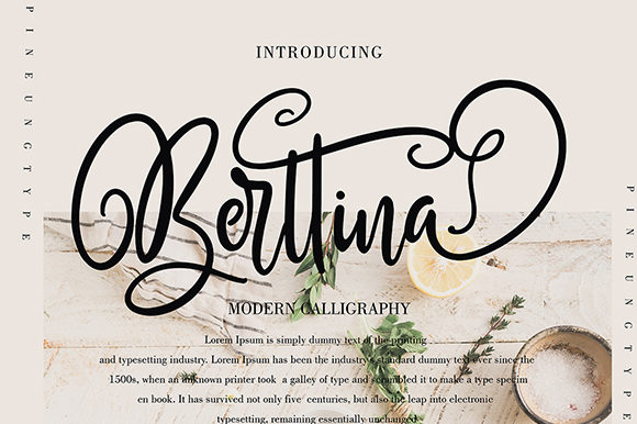 Berttina Font Poster 1