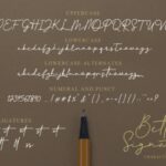 Better Signature Font Poster 7