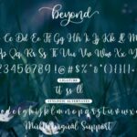 Beyond Font Poster 7