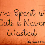 Bhrandale Script Font Poster 5
