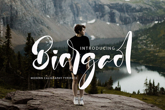 Biargaol Font Poster 1