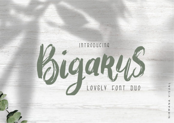 Bigarus Font Poster 1