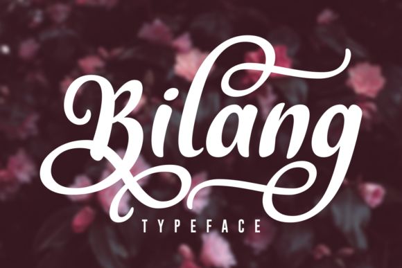 Bilang Font Poster 1