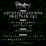 Billionthine Script Font Poster 3